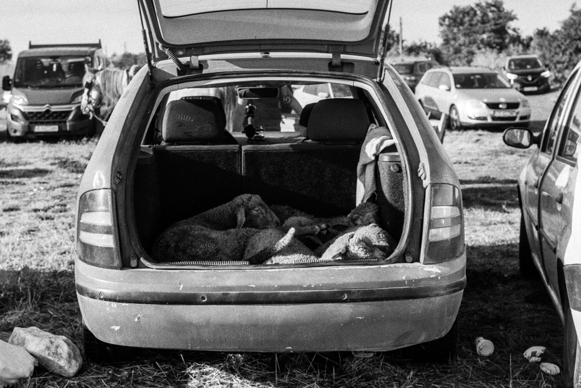 Negru Voda, Romania 2025